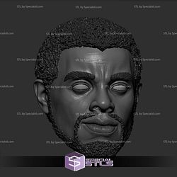 Custom Head STL - Black Panther T challa