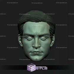 Custom Head STL - Spider Man Tobey Maguire