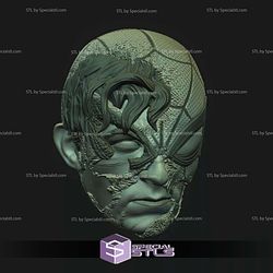 Custom Head STL - Spider-Man Ripped Mask Battle