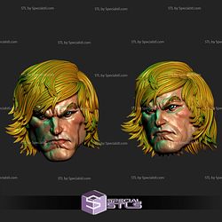 Custom Head STL Collection - He Man V2