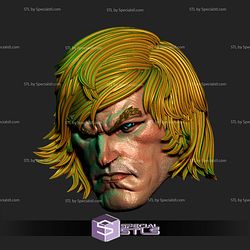 Custom Head STL Collection - He Man V2