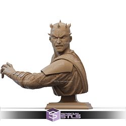 Darth Maul Battle Bust Digital STL Files