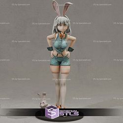 Super Basic STL - Bunny Girl