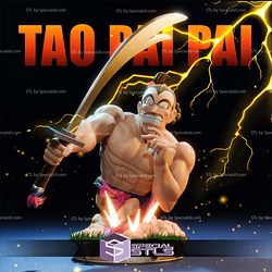 Tao Pai Pai Fight Bust Digital STL Files