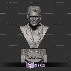 The Frankensteins Monster Bust V2 Digital STL Files