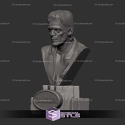 The Frankensteins Monster Bust V2 Digital STL Files