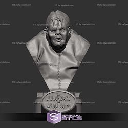 The Hunchback of Notre Dame Bust Digital STL Files