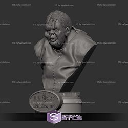 The Hunchback of Notre Dame Bust Digital STL Files