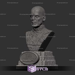 The Mummy Classic Monsters Bust Digital STL Files