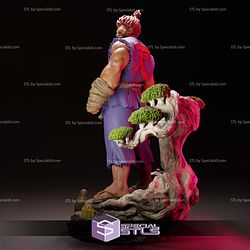 Akuma Angry Street Fighter Digital STL Files