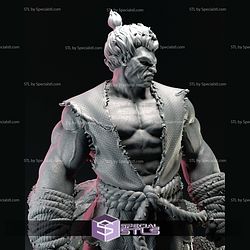 Akuma Angry Street Fighter Digital STL Files