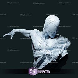 Amazing Sipderman Bust Digital STL Files