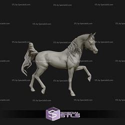 Arabian Horse Digital STL Files