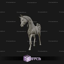 Arabian Horse Digital STL Files