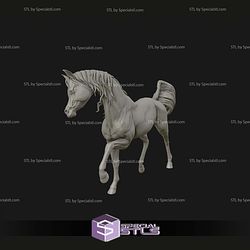 Arabian Horse Digital STL Files