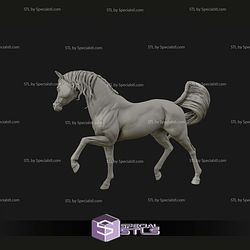 Arabian Horse Digital STL Files