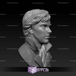 Benedict Cumberbatch Bust V2 Digital STL Files