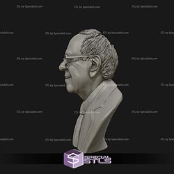 Bernie Sanders Bust Digital STL Files