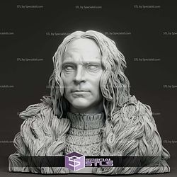 Brad Dourif Grima Wormtongue Bust Digital STL Files