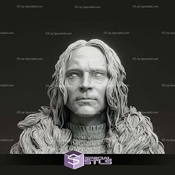 Brad Dourif Grima Wormtongue Bust Digital STL Files