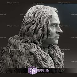 Brad Dourif Grima Wormtongue Bust Digital STL Files