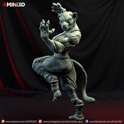 November 2019 Tabaxi Amini3D Miniatures