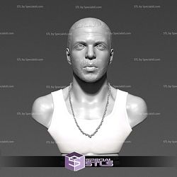 Drake Bust Digital STL Files