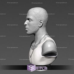 Drake Bust Digital STL Files