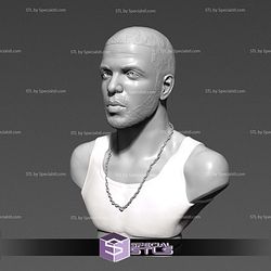 Drake Bust Digital STL Files