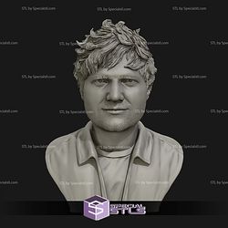 Ed Sheeran Bust Digital STL Files