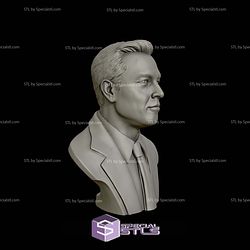 Elon Musk Bust Digital STL Files