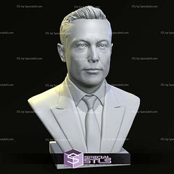 Elon Musk Bust V2 Digital STL Files