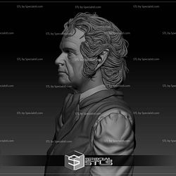 Ian Holm Bilbo Baggins Bust Digital STL Files