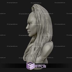 Kim Kardashian Bust Digital STL Files