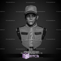 Marty McFly Portrait Bust Digital STL Files