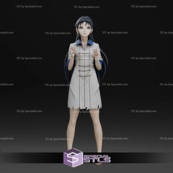 Shunrei Shiryu Wife Orko Fight Saint Seiya Digital STL Files