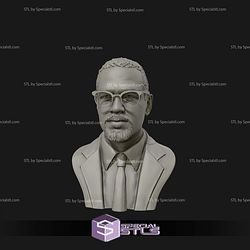 Malcolm X Bust Digital STL Files