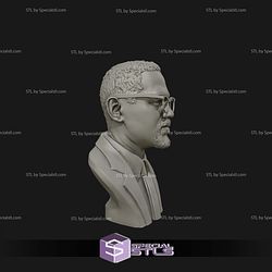 Malcolm X Bust Digital STL Files