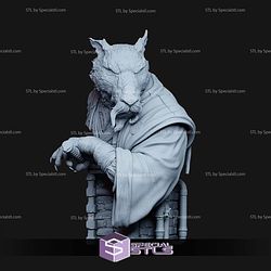 Master Splinter Epic Ninja Bust Digital STL Files