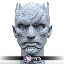 Night King Portrait Digital STL Files