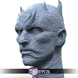 Night King Portrait Digital STL Files