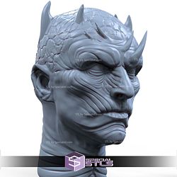 Night King Portrait Digital STL Files