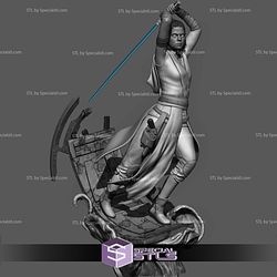 Rey Skywalker Attack Digital STL Files