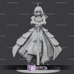 Saber Standing Fate stay night Digital STL Files