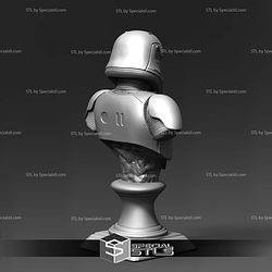 Stormtrooper Basic Bust Digital STL Files