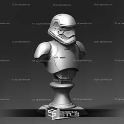 Stormtrooper Basic Bust Digital STL Files