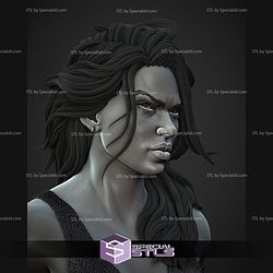 Wonder Girl Bust Portrait Digital STL Files