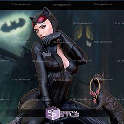 Catwoman Meow Digital STL Files