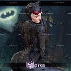 Catwoman Meow Digital STL Files