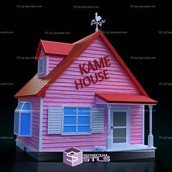 Kame House Dragonball Digital STL Files